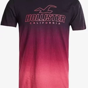 Camisetas Hollister estampada